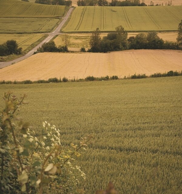 El hotel 2 Paisaje 03 600x640 - El hotel