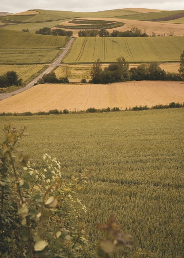 2 Paisaje 03 - El hotel