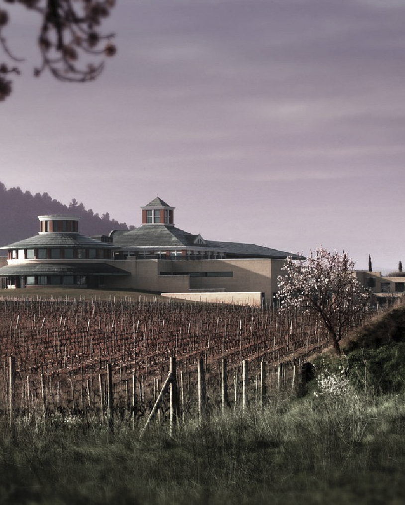 Briones Vivanco 2 - Entorno